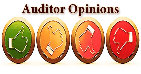 What are Auditor Opinions- Zoefact