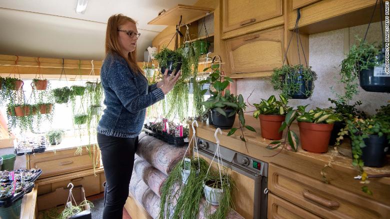 This store owner has crammed 12,000 house plants into her home to keep business afloat in lockdown