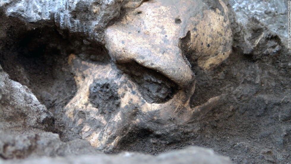 Rare skull sparks human evolution controversy
