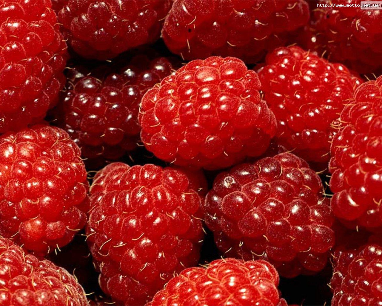 What happens if you eat raspberries everyday?