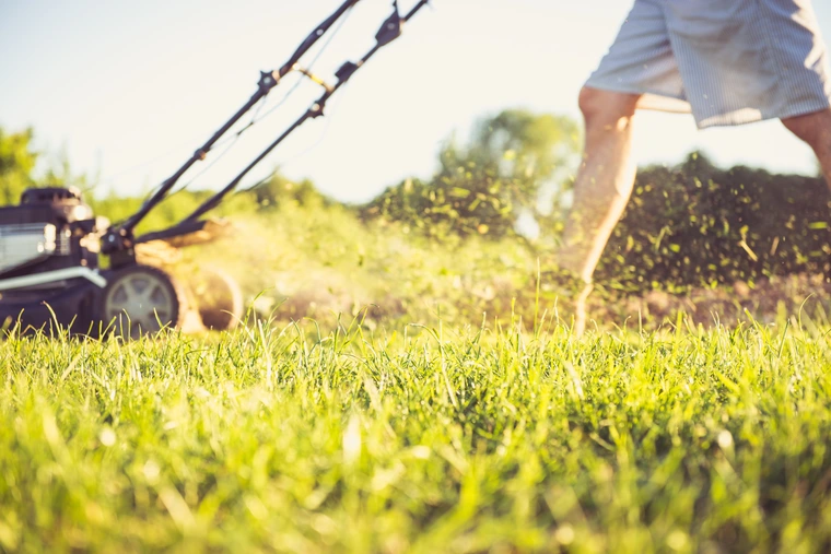 Which is better: a gasoline or electric lawn mower? Or maybe a robotic lawnmower?